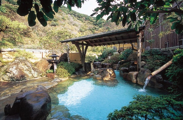 直行バスで行く 天草・下田温泉 天然ヒラメ・アワビ付 豪華会席ツアー🚌日帰りバスツアー🚌3